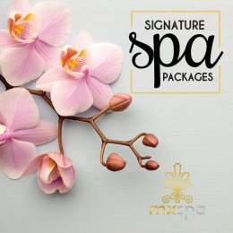 best spas in colorado springs best spas in colorado springs