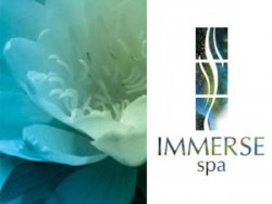 immerse2 Best Day Spas In Detroit